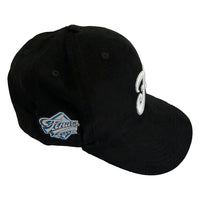 Panorama Snapback